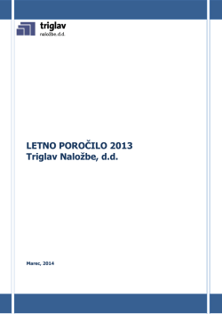 Letno poročilo 2013 - SEOnet