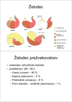 Zelodec prezvek_Ursic.pdf