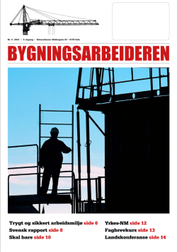 Trygt og sikkert arbeidsmiljø side 6 Svensk rapport side 8 Skal bare