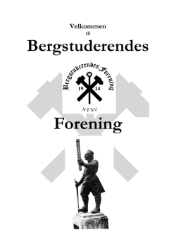 Infoblekke12 - Bergstuderendes Forening