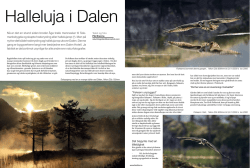 naturfotografar, Dalen pdf.pdf - Vest