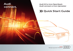 Audi connect e-tron