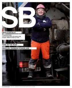 SB Bladet 2013 1