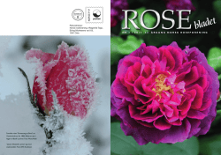 bladet - Norsk Roseforening