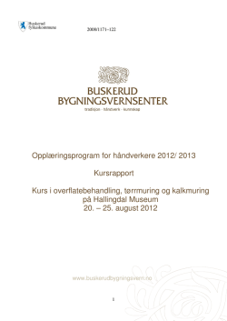 Last ned Rapport Nesbyen 20 - Buskerud Bygningsvernsenter