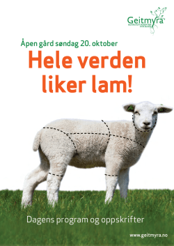 Hele verden liker lam. Infomateriell Åpen gård – 20
