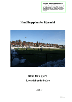 Handlingsplan for Bjørndal v 2 - 2011 (erstattet av ny