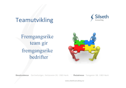 Teamutvikling - Silseth Consulting