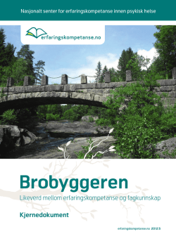 Kjernedokument 2012.pdf - Erfaringskompetanse.no