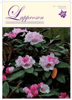Utgave nr 1 - Den norske Rhododendronforening