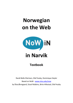 Norwegian on the Web in Narvik