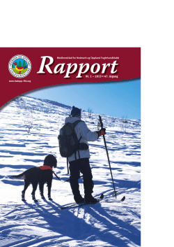Rapport 01/13 - Hedmark og Oppland Fuglehundklubb