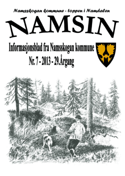 Namsskogan kommune - toppen i Namdalen