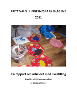 REFLEKSJON FRA ARBEIDET MED FRITT VALG 2011.pdf