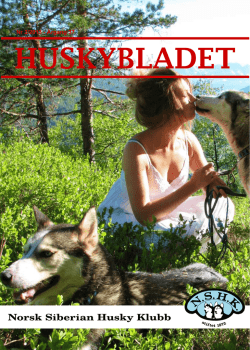 Huskybladet 2/2013 - Norsk Siberian Husky Klubb