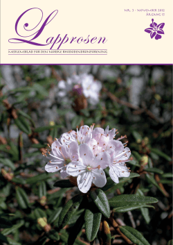 Utgave nr 3 - Den norske Rhododendronforening