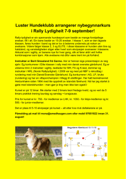 Luster Hundeklubb arrangerer nybegynnarkurs i Rally Lydigheit 7