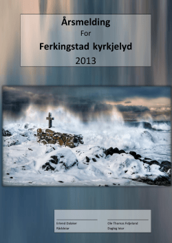 Årsmelding Ferkingstad 2013.pdf