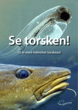 Se torsken.pdf - Havbruksstasjonen i Tromsø AS