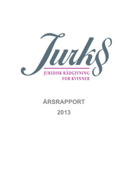 Årsrapport 2013.pdf