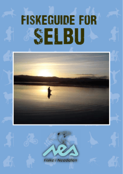 Fiskeguide for Selbu 2013.pdf