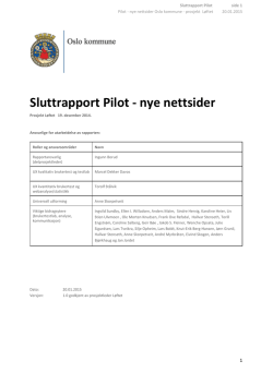 Godkjent Sluttrapport pilot – nye nettsider