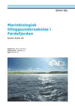Marinbiologisk tilleggsundersøkelse i Førdefjorden