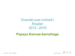 3-årsplan Papaya Kanvas-barnehage 2013-2016