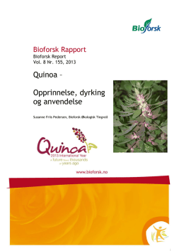 Quinoa – Opprinnelse, dyrking og anvendelse