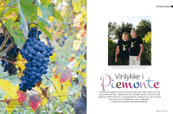 2014 Reiselyst – Vinlykke i Piemonte