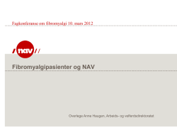 NAV - Anne Haugen.pdf