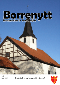 Borrenytt 2013-1