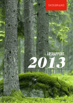 Skogbrands Årsrapport 2013