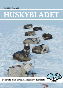 Huskybladet 4/2012 - Norsk Siberian Husky Klubb