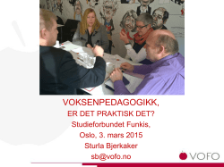 Sturla Bjerkaker sin presentasjon.pdf