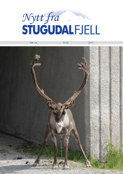 Nytt fra - Stugudal Fjell