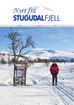 nr 47 - Stugudal Fjell