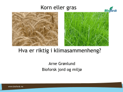 Hva er riktig i klimasammenheng? Korn eller gras