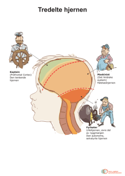 Kaptein (Prefrontal Cortex) Den tenkende hjernen