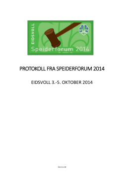 Vedlegg 10 Protokoll fra Speiderforum 2014