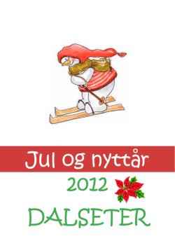 Jul og nyttår 2012 DALSETER