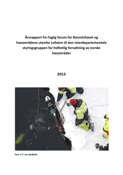 Rapport 2013 (PDF, 2 MB)