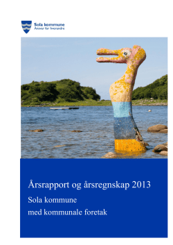 Årsrapport og -regnskap 2013