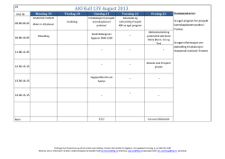 Timeplan AIO-kull 13v Høst 2013 (.pdf)
