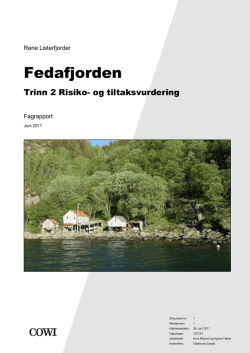 Trinn 2 risiko - Flekkefjord kommune