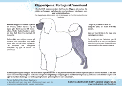 klippeskjema.pdf - Raseklubben For Portugisisk Vannhund