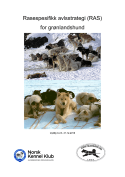 RAS grønlandshund - Norsk Polarhundklubb