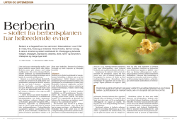 – stoffet fra berberisplanten har helbredende evner
