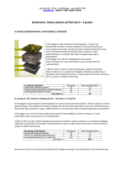 Beskrivelse: Sedum planter på flatt tak 0 – 5 grader