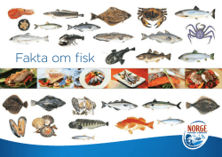 Fakta om fisk.pdf